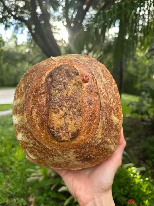 Cheese Bread — Organic Sourdough