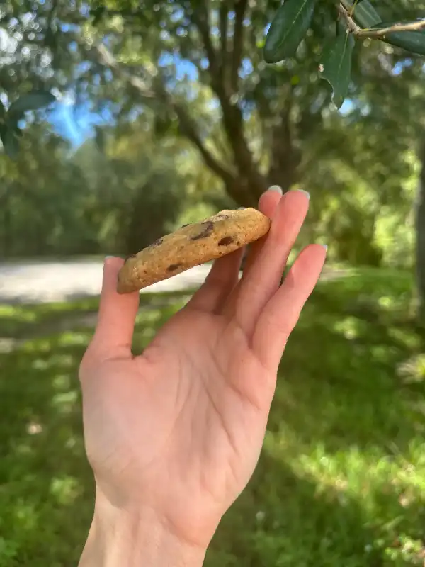 Chocolate Chip Cookies — Package of 6