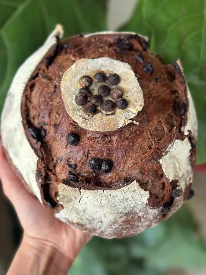 Chocolate — Organic Sourdough