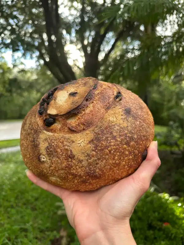 Cinnamon Raisin — Organic Sourdough