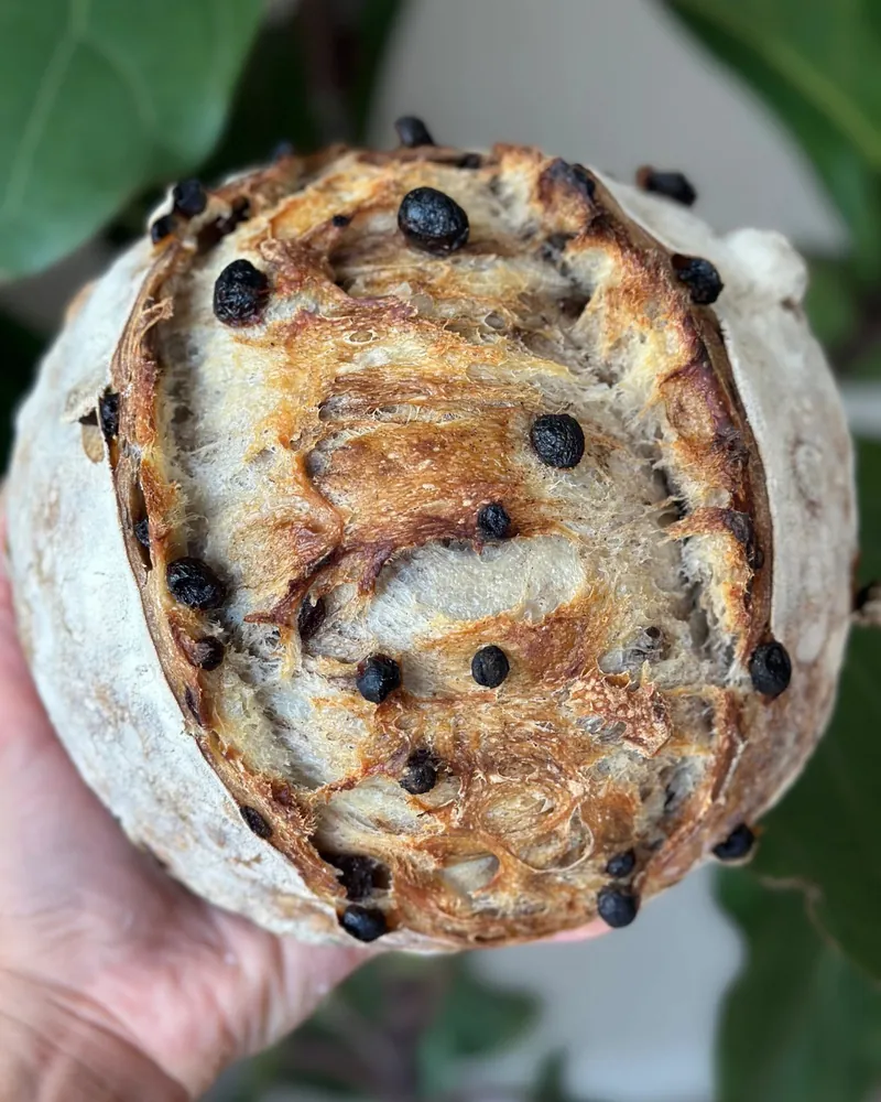 Cinnamon Raisin — Organic Sourdough