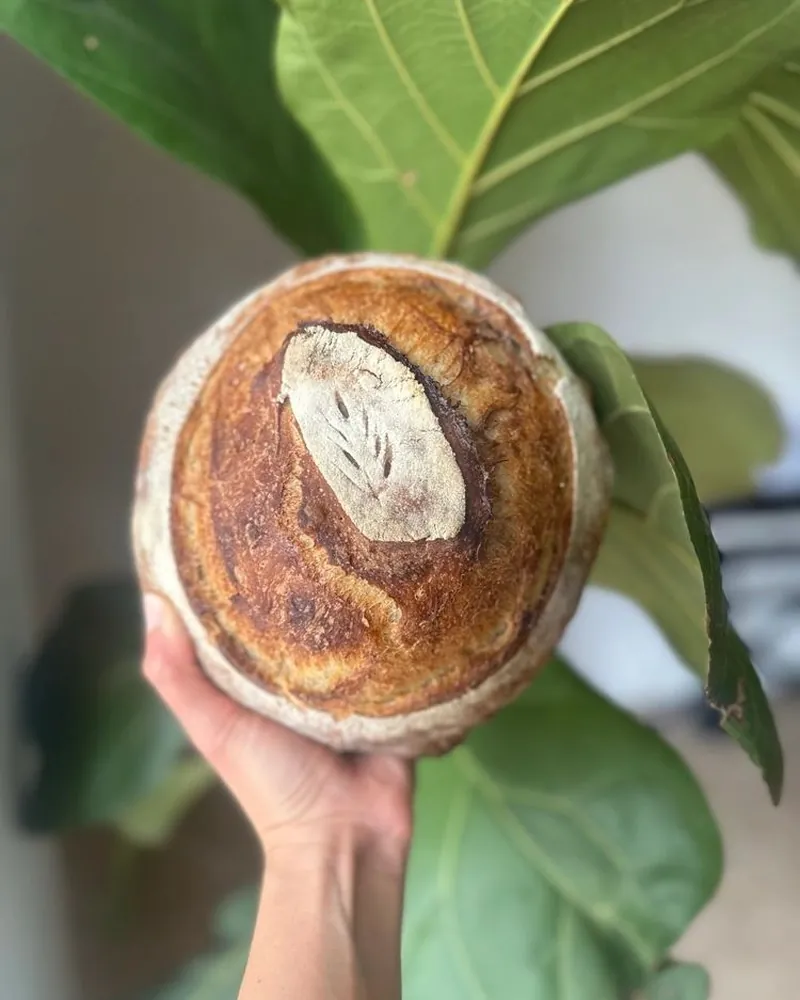Cinnamon Sugar — “The Chris”