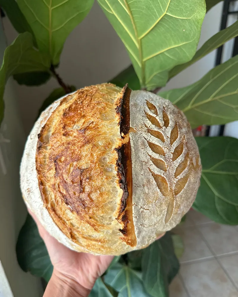 The Classic — Organic Sourdough