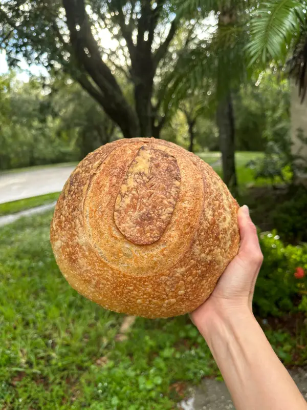 The Classic — Organic Sourdough