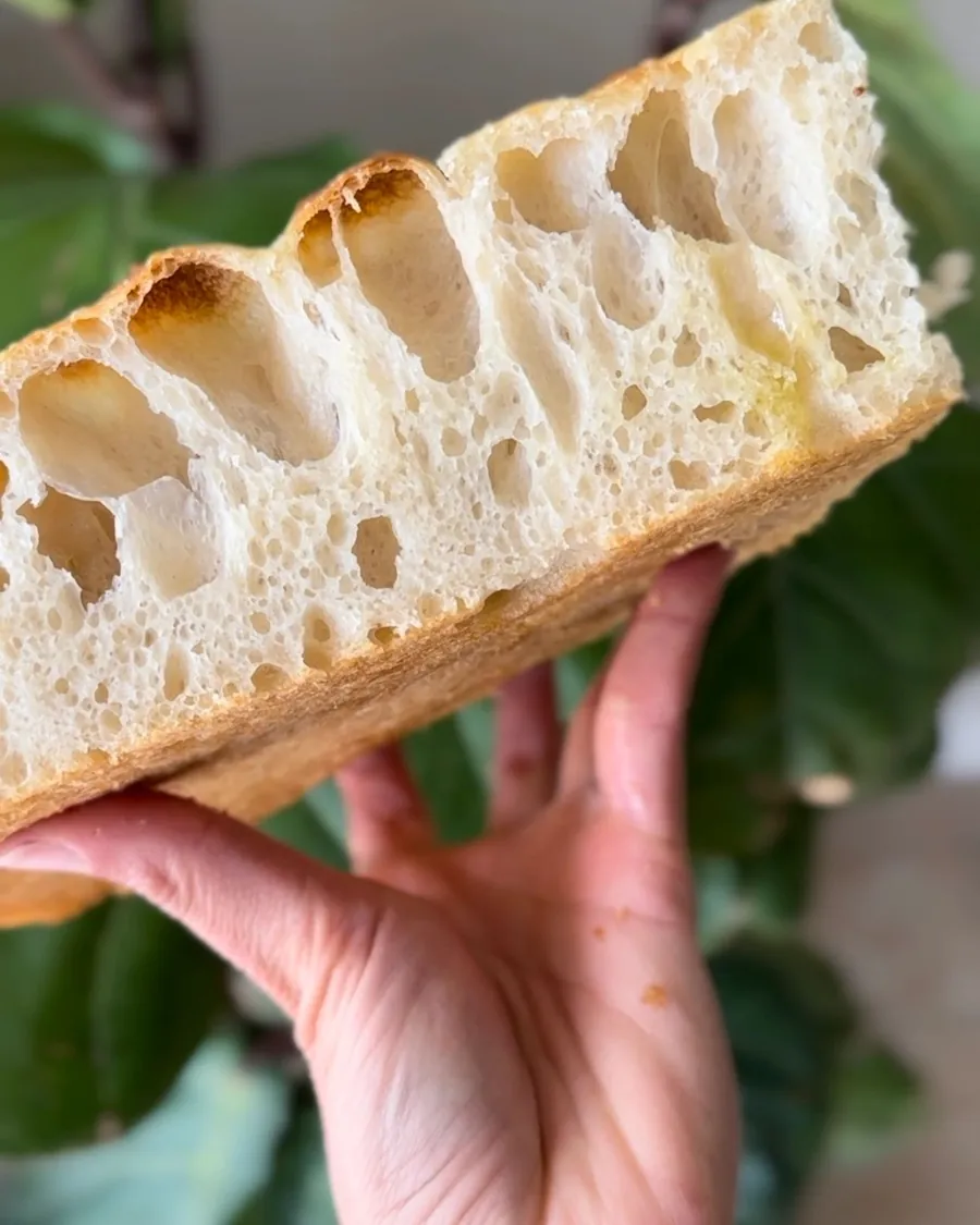 Open, airy crumb of a sourdough focaccia
