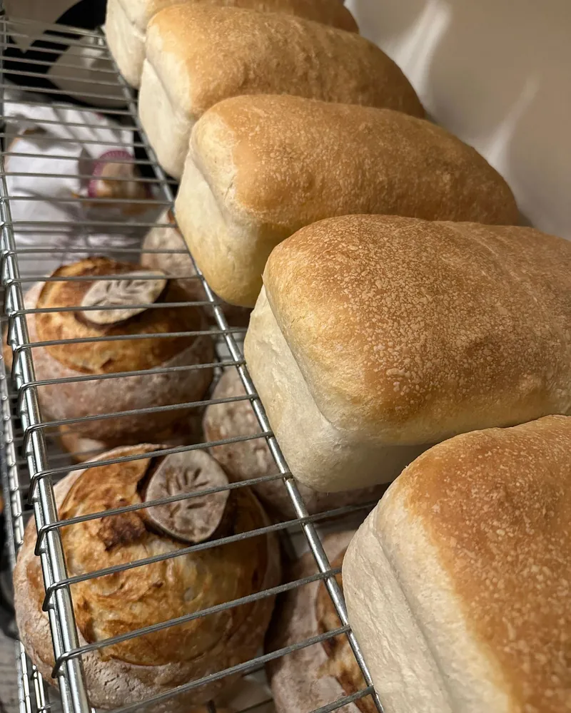 Cuban Sandwich Bread — Olive oil loaf