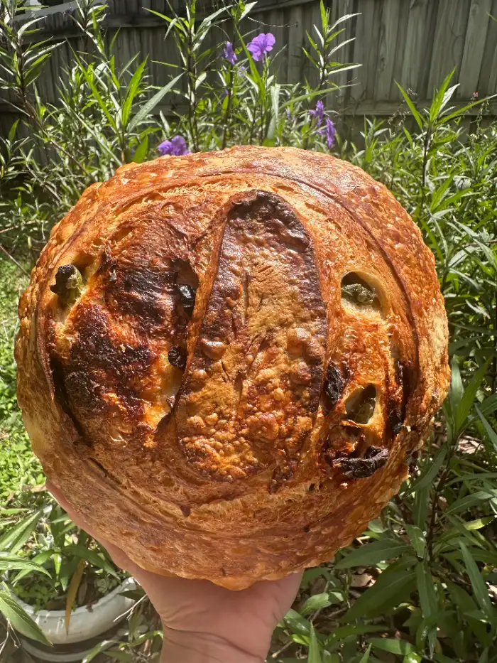 Olives & Sun-dried Tomato — “The Lujain”
