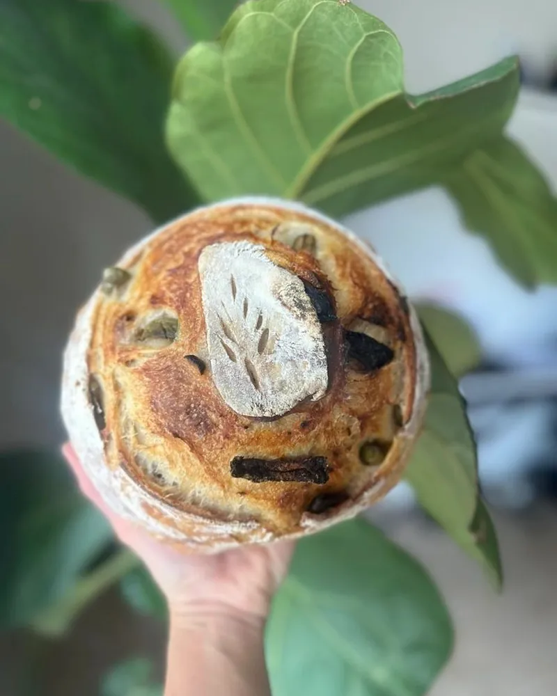Olives & Sun-dried Tomato — “The Lujain”