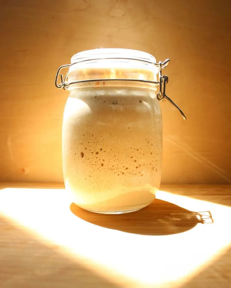 Active Starter — Ready to bake